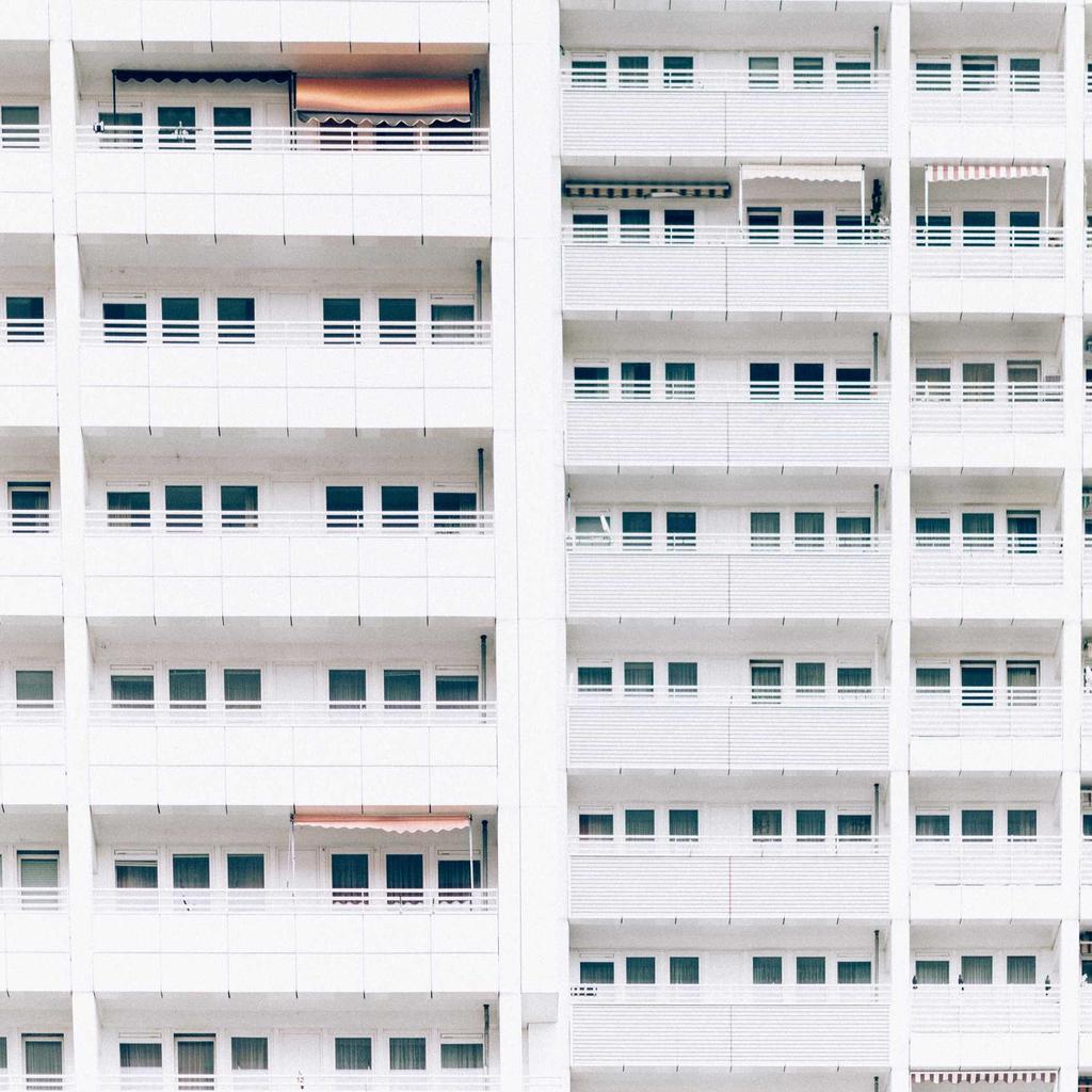 A wise old apple tree in a sunny orchard