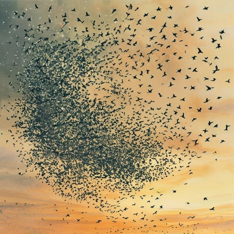 The Starling Who Flew Alone: A Story About Teamwork