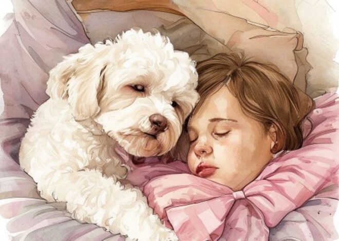 Mochi the Maltipoo: A Story About Love