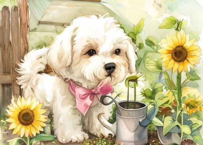 Mochi the Maltipoo: A Story About Responsibility
